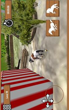 Horse Riding Race 3D游戲截圖3