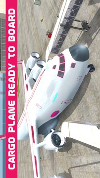Air Drop Cargo Plane Airport游戲截圖1