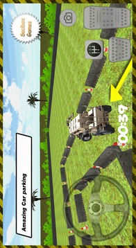3D Buffalo Car Parking游戲截圖3