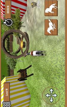 Horse Riding Race 3D游戲截圖4