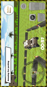 3D Buffalo Car Parking游戲截圖4