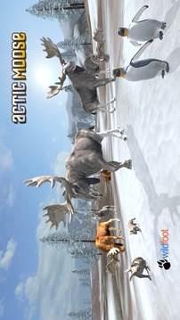 Arctic Moose游戏截图1