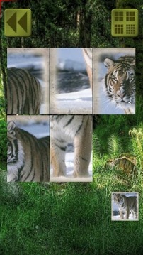 Sliding Puzzle: Animals游戲截圖2