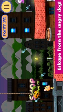 Project Z Cat: Escape the Dog!游戲截圖1