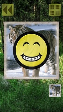 Sliding Puzzle: Animals游戲截圖3