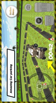 3D Buffalo Car Parking游戲截圖5