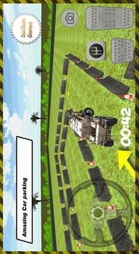 3D Buffalo Car Parking游戲截圖1