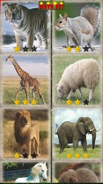 Sliding Puzzle: Animals游戲截圖1