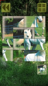 Sliding Puzzle: Animals游戲截圖5