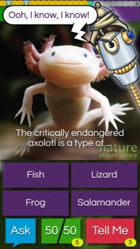 QuizTix: Animal Pics Trivia游戲截圖5