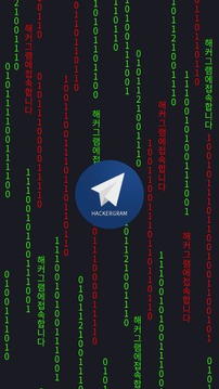 ???? - hackergram游戲截圖1