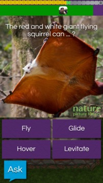 QuizTix: Animal Pics Trivia游戲截圖1