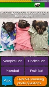 QuizTix: Animal Pics Trivia游戲截圖3