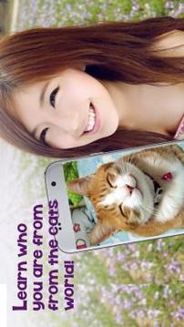 Face Scanner: Cat by Photo游戲截圖1
