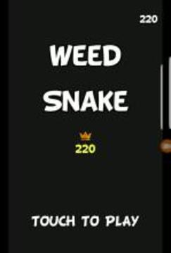 Weed Snake VS Blocks游戲截圖1