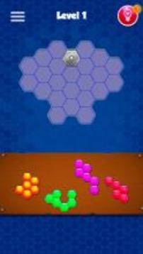 Hexa Puzzle - Block Magic游戲截圖5