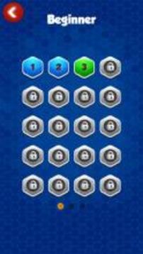 Hexa Puzzle - Block Magic游戲截圖3
