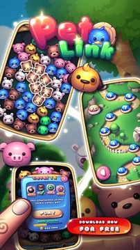 Pet Link游戲截圖1