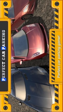 Perfect Car Parking 3D游戲截圖2