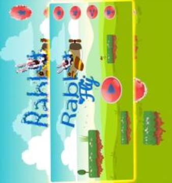 Pro Rabbit Fly游戲截圖2
