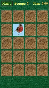 Memory game (Pairs)游戲截圖4