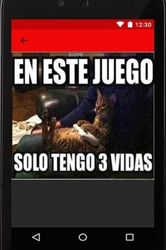 JUEGOS VARIADOS GRATIS游戲截圖2