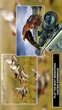 狙击手鸟类狩猎冒险游戏截图3