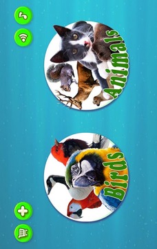 Animals & Birds : Real sound游戲截圖4