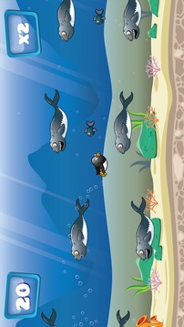 Splashy Penguin游戲截圖2