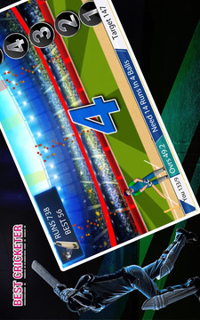 Real cricket player游戲截圖2