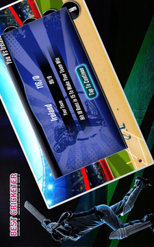 Real cricket player游戲截圖3