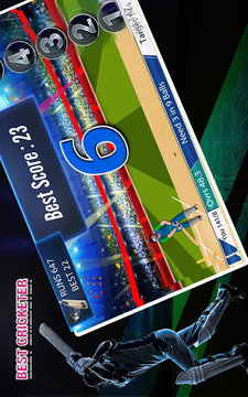 Real cricket player游戲截圖1