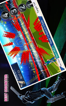 Real cricket player游戲截圖5