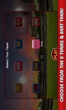 World Cricket: Indian T20 2016游戲截圖1
