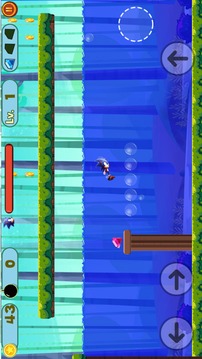Sonic Speed Jungle Adventures游戲截圖3