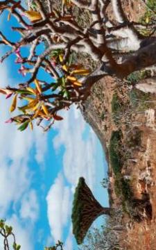 National Parks Puzzle游戲截圖3