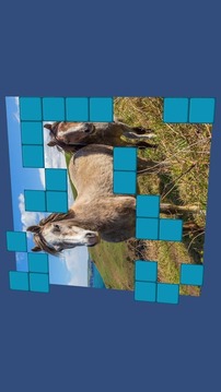 Wordsearch Revealer Wildlife游戲截圖1
