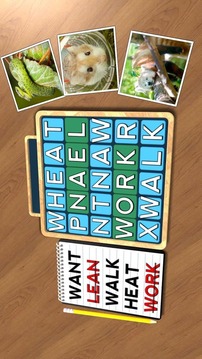 Wordsearch Revealer Wildlife游戲截圖3