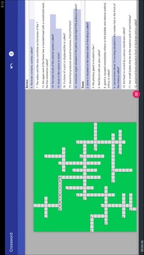 medical crossword游戏截图4