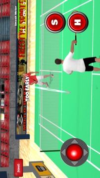 Badminton Games Free 2017 3D游戲截圖3