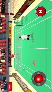 Badminton Games Free 2017 3D游戲截圖5