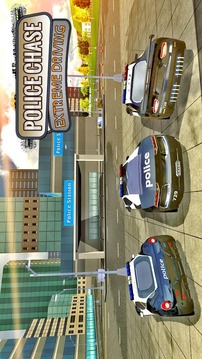 Police Chase Extreme Driving游戲截圖2