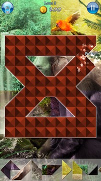Hidden Pieces: Into The Wild游戲截圖4