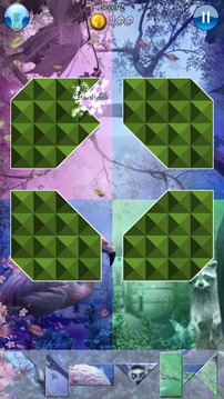 Hidden Pieces: Into The Wild游戲截圖3