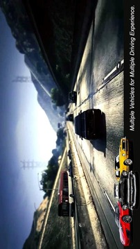 Dr Driving 3D 2游戲截圖1