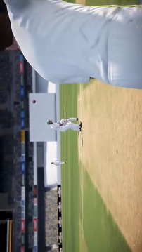 的提示 RCB Star Cricket游戲截圖1