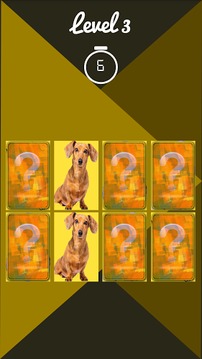 dog memory game游戲截圖3