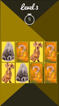 dog memory game游戲截圖4