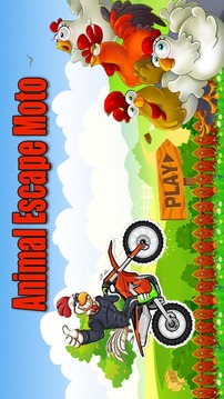 Animal Escape Moto - Fun Games游戲截圖1