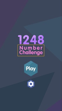 1248 - Number Challenge游戲截圖1